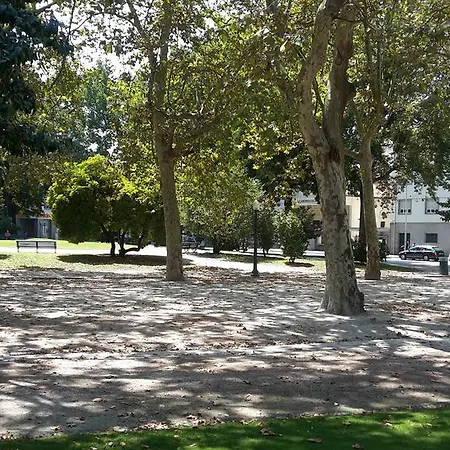 레지덴시아 세우 아줄 게스트하우스 *