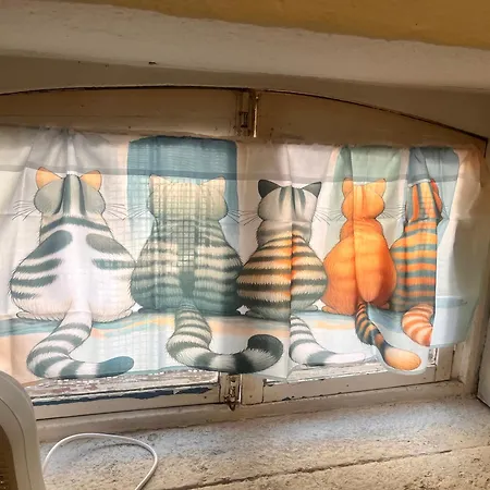 Residencia Ceu Azul *