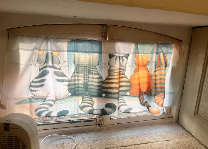 Residencia Ceu Azul *