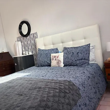 ゲストハウス Residencia Ceu Azul ポルト